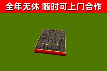 白云回收海参